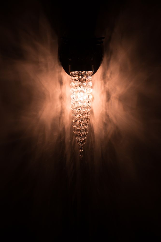Wall lamps - Bird of Paradise wall sconce - EMERALD FAERIE
