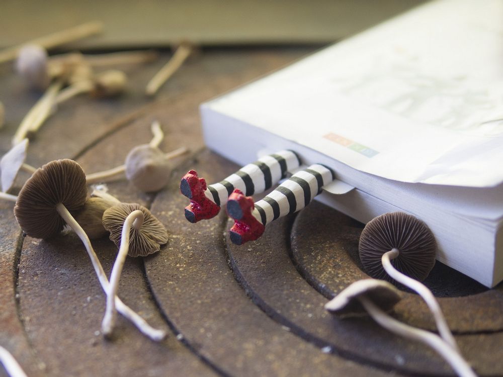 Cadeaux - Sorcière d'Oz - MYBOOKMARK