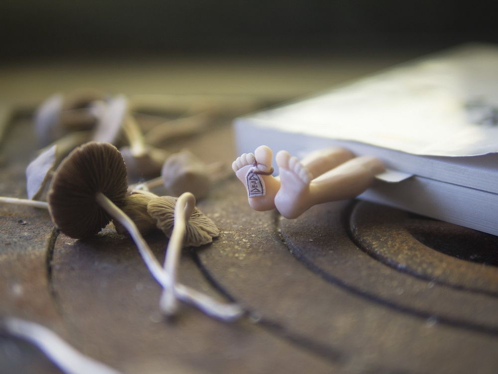 Gifts - Dead bookmark - MYBOOKMARK