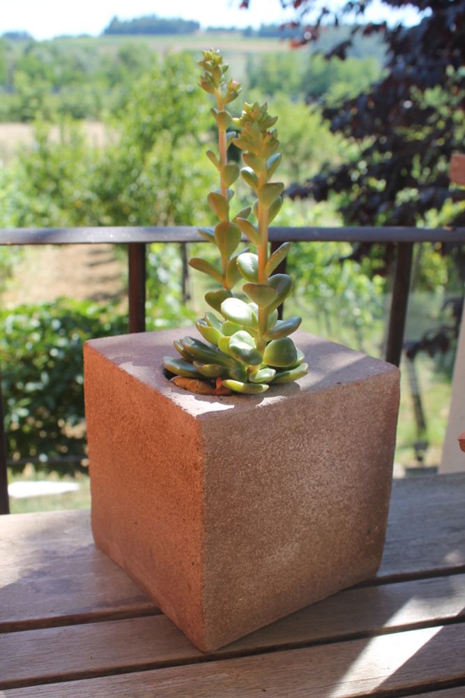 Vases - Succucube Vase - TUSCANY ART
