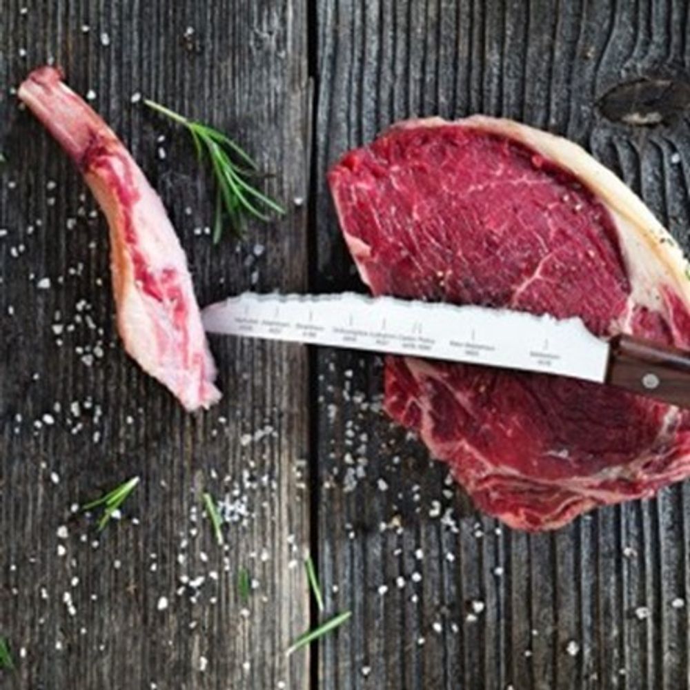 Kitchen utensils - Universal Knife - PANORAMAKNIFE