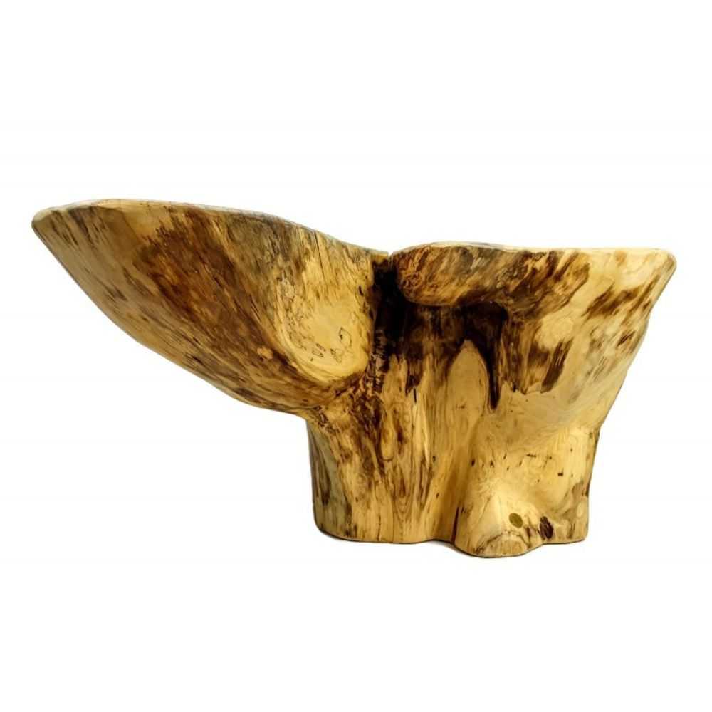 Tables basses - Table basse tronc - PRES-BOIS MEUBLES TRONCS