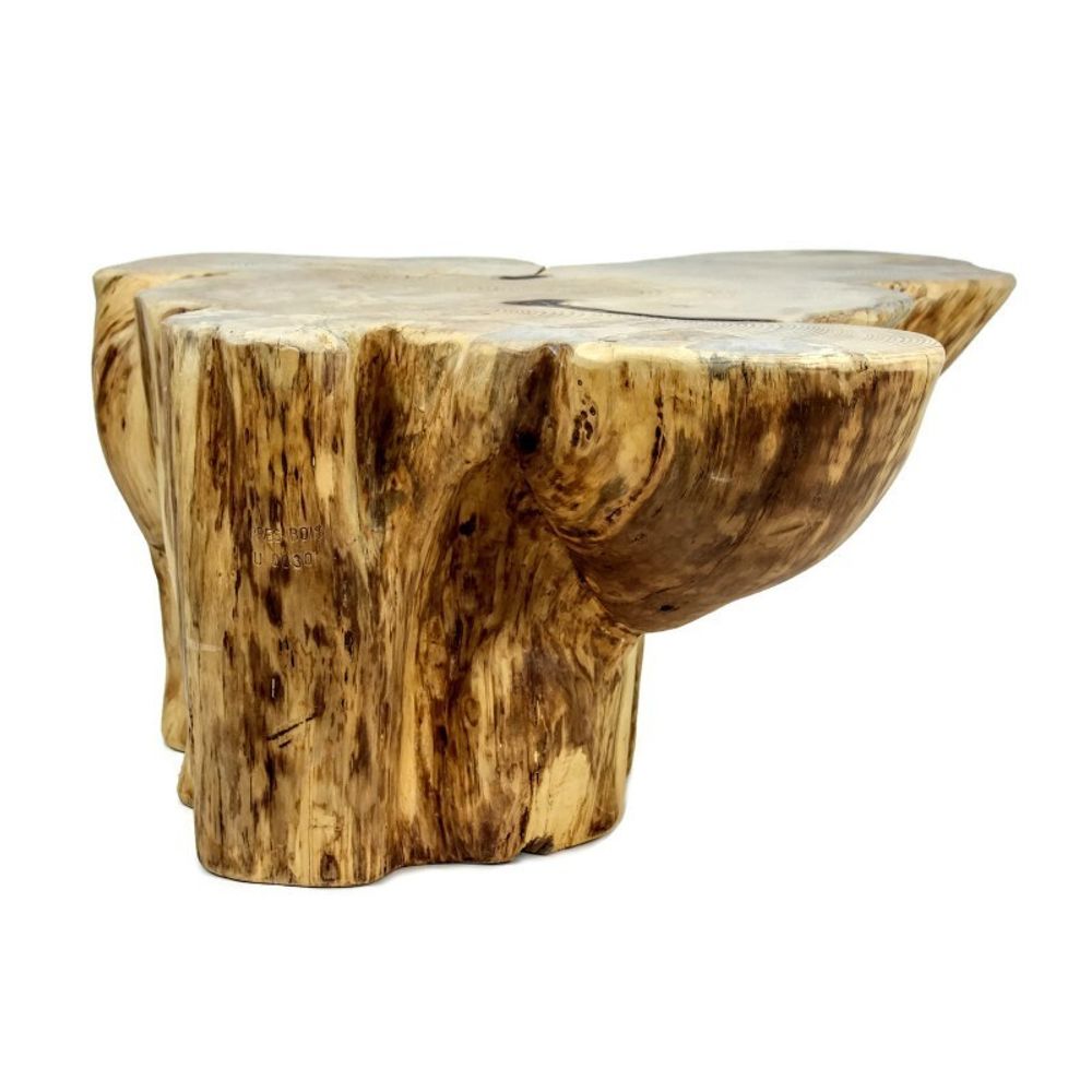 Tables basses - Table basse tronc - PRES-BOIS MEUBLES TRONCS