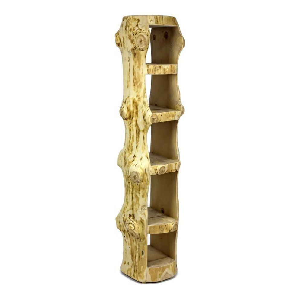 Bookshelves - Bookcase shelf - PRES-BOIS MEUBLES TRONCS