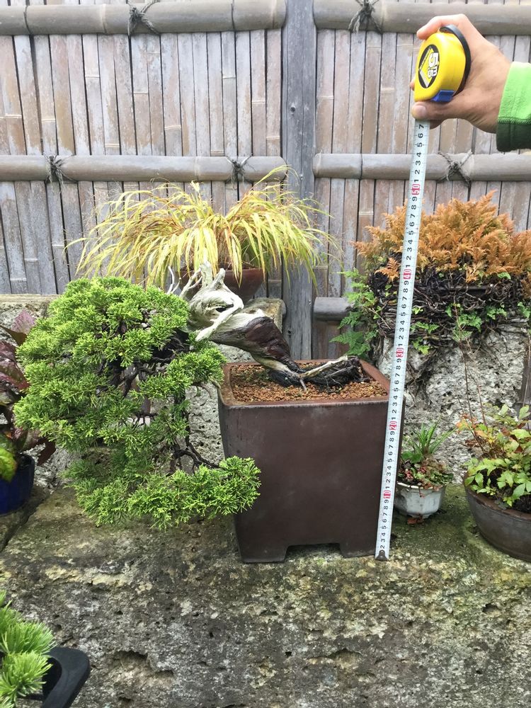 Artistic hardware - Bonsai Art - JAPAN HORT