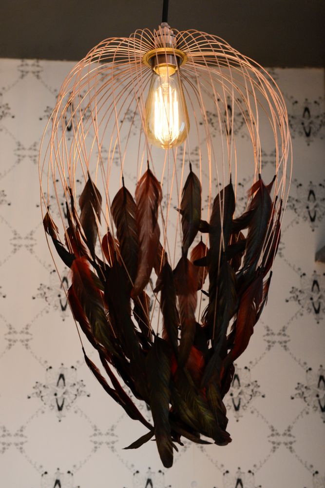 Hanging lights - Phoenix - PLUMAVERA