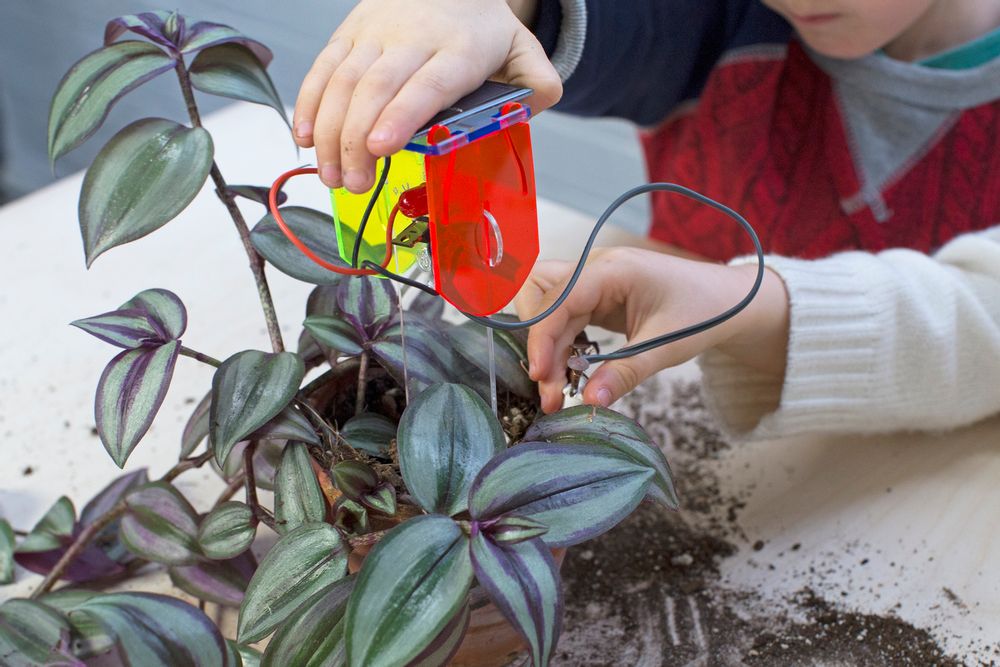 Other smart objects - THIRSTY PLANT KIT - TECHNOLOGY WILL SAVE US
