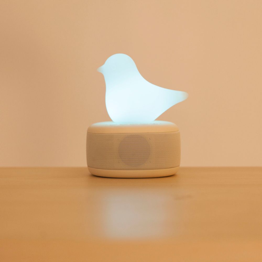 Other office supplies - Smart Bird Lamp - EMOI
