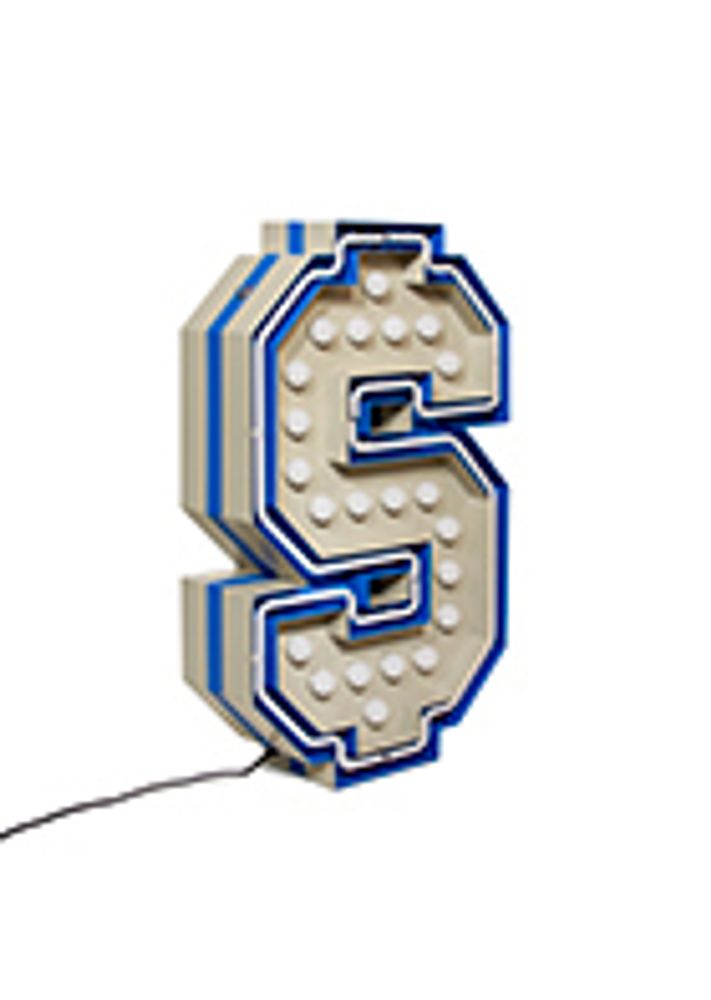 Éclairage LED - Panneau Dollar | Lampe Graphique - DELIGHTFULL