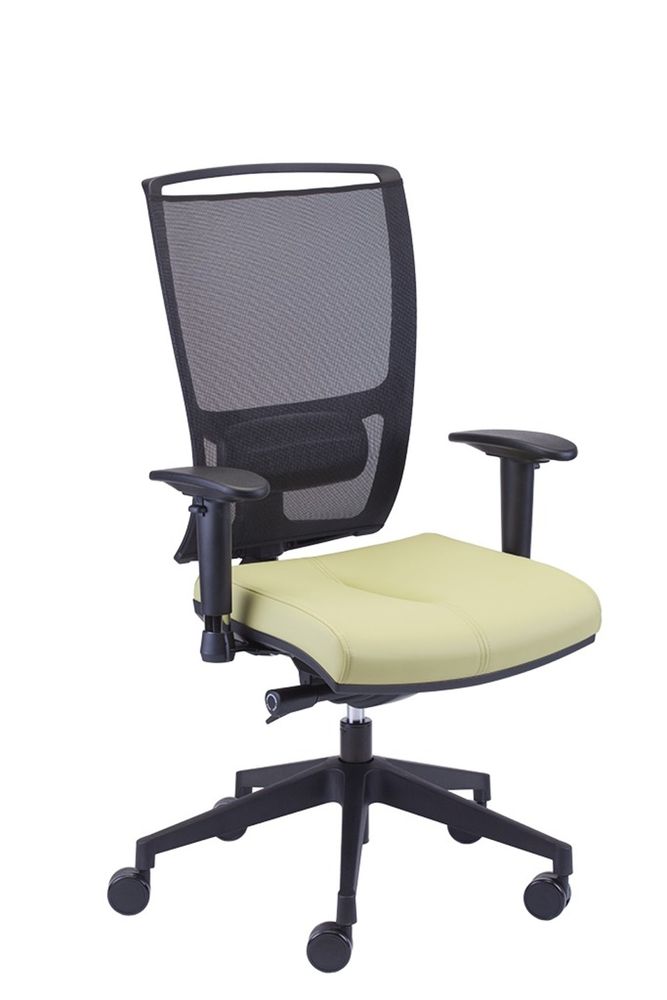 Chaises - Royce - MJ DESIGN