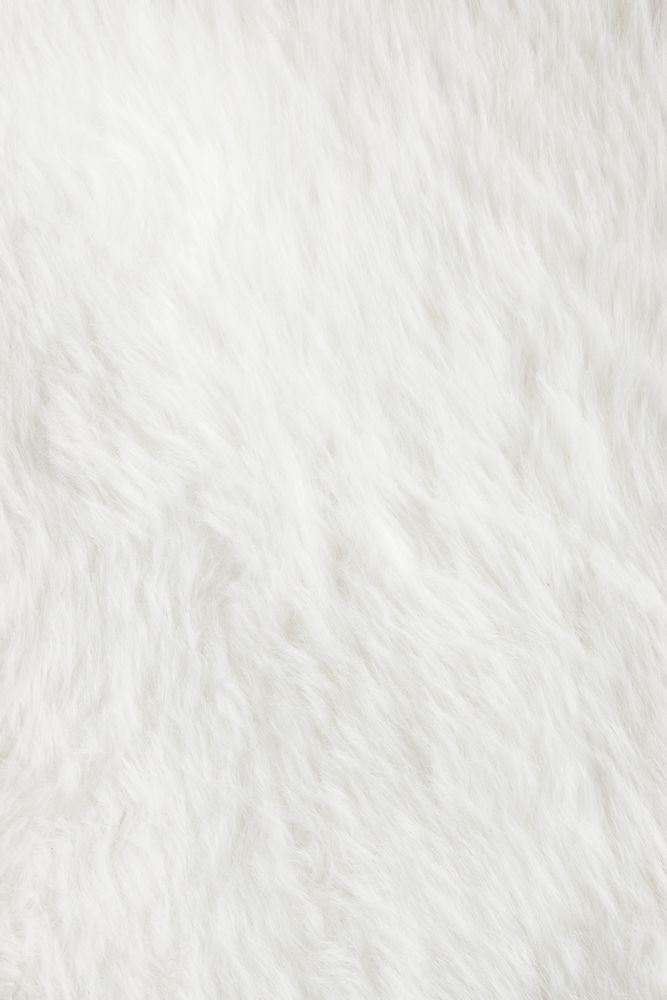Rugs - Cloud Rug - CIRCU
