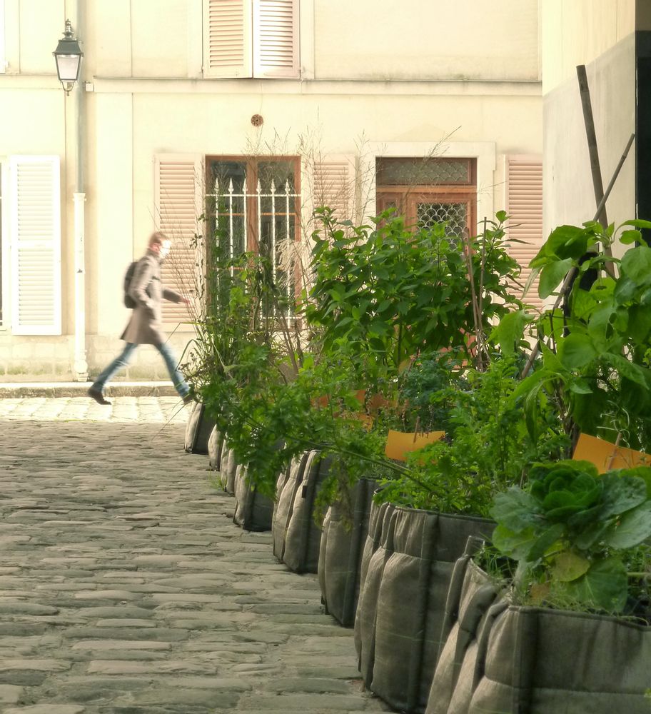 Flower pots - BACSQUARE - BACSAC®