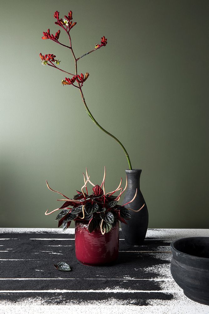 Décorations florales - Vase Aksent Décoration maison - AKSENT COLLECTION