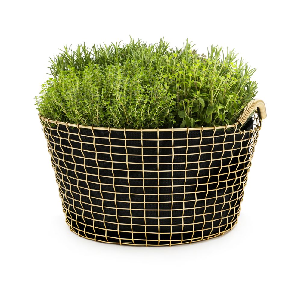 Flower pots - Classic 35 - KORBO