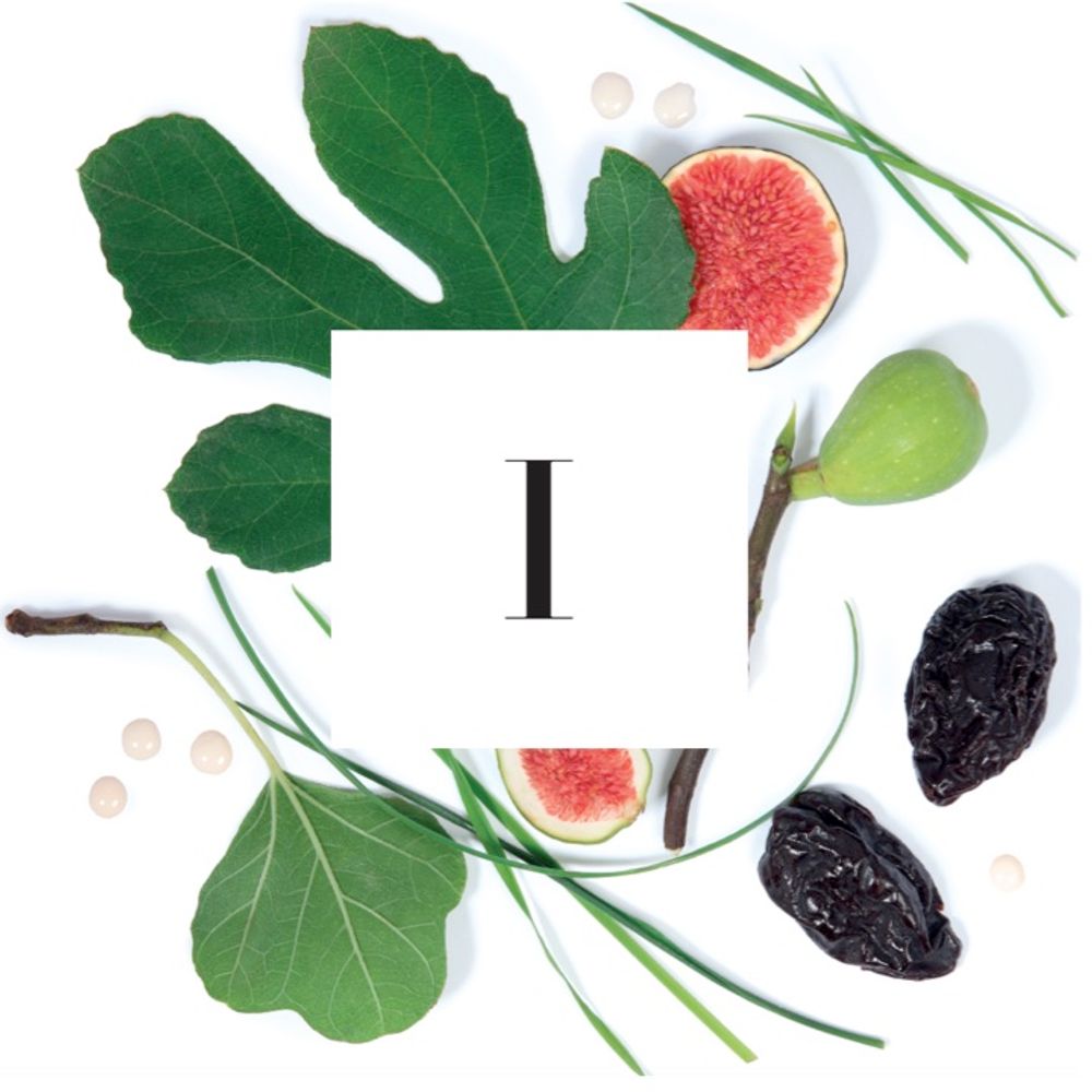 Bougies - Bougie I Fructus Vasconia - AMANDA DE MONTAL