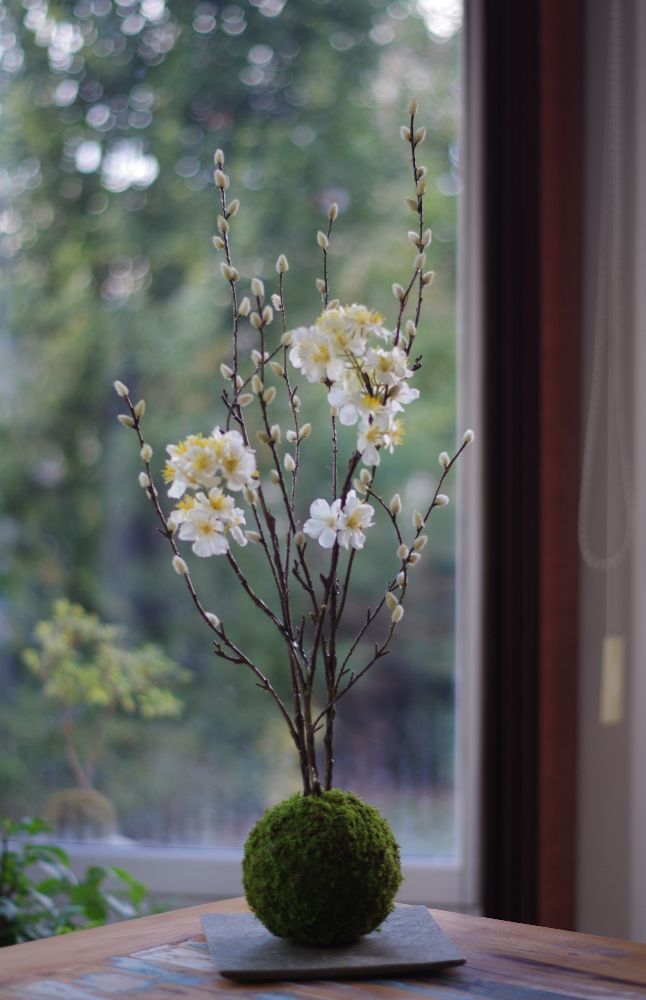 Floral decoration - Majikku Plant - AQUAPHYTE