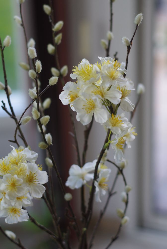 Floral decoration - Majikku Plant - AQUAPHYTE
