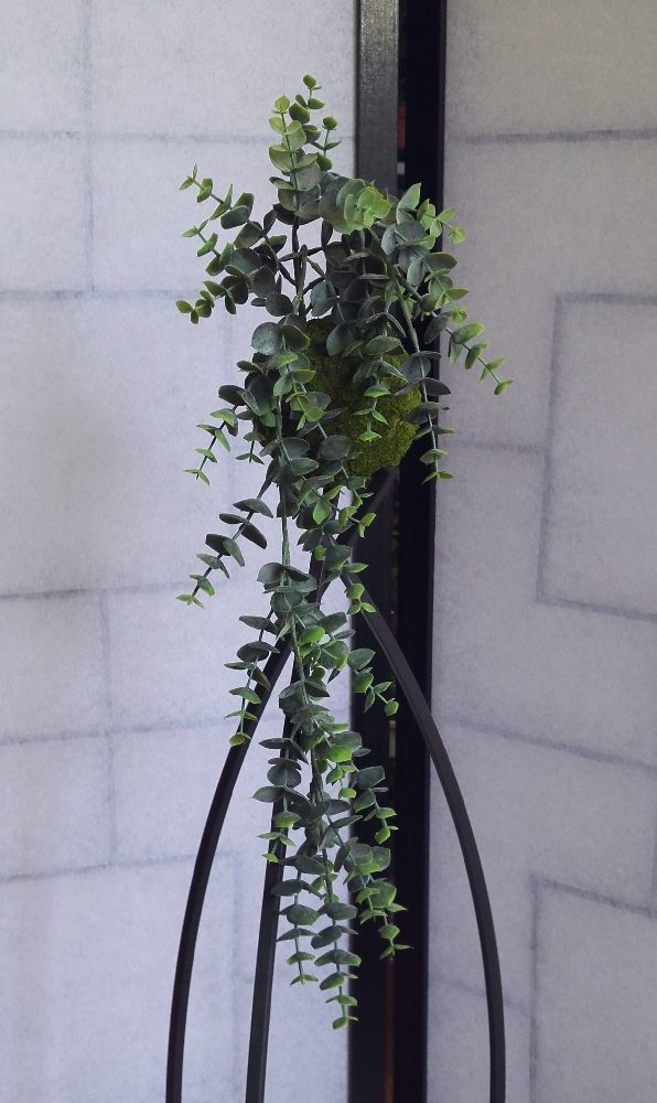 Floral decoration - Majikku Plant - AQUAPHYTE