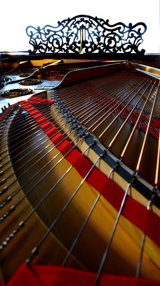 Pianos - PIANO STEINWAY & SONS 1901 - PIANOS HANLET