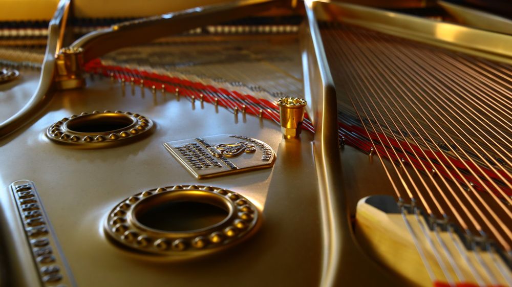 Pianos - PIANO STEINWAY & SONS 1901 - PIANOS HANLET