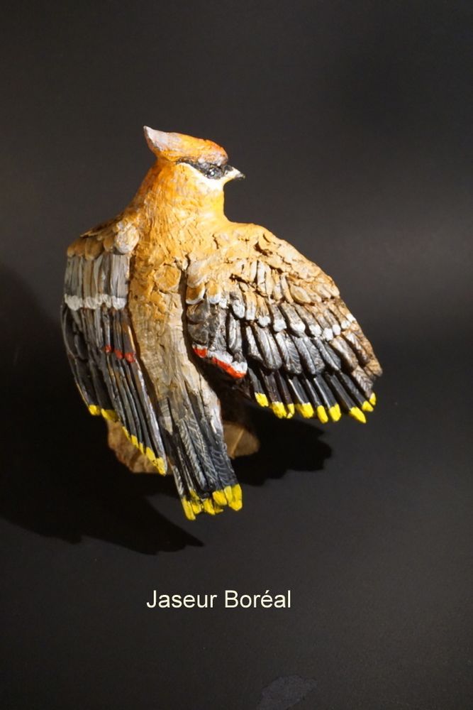 Decorative objects - Geai des chênes - BRUNO NUGERON