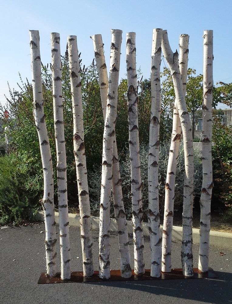 Objets de décoration - Paravent éclairé en branches de bouleaux - DECO-NATURE
