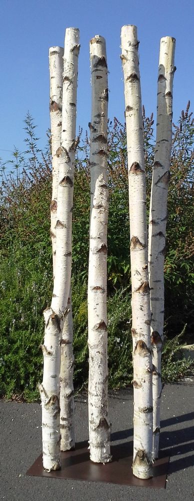 Objets de décoration - Paravent éclairé en branches de bouleaux - DECO-NATURE