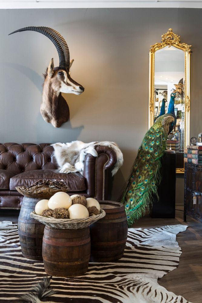 Objets de décoration - Taxidermie paon - DMW.NU: TAXIDERMY & INTERIOR