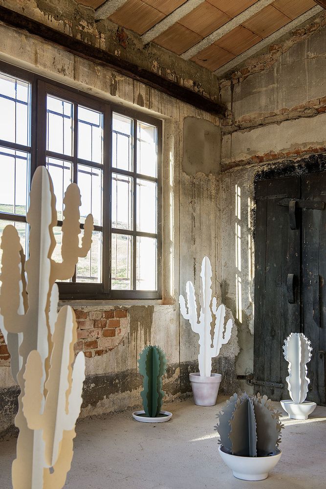 Decorative objects - Cactus - ARTI E MESTIERI