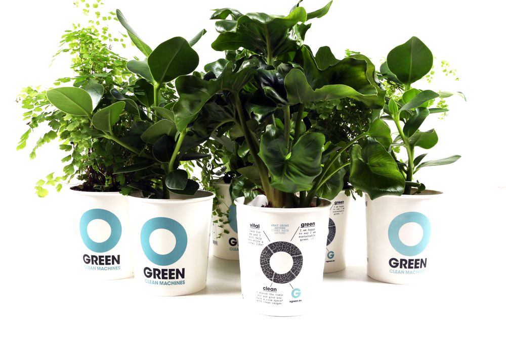 Floral decoration - Ogreen Clean Machines - RESCUED! FROM WASTE TO WONDERFUL
