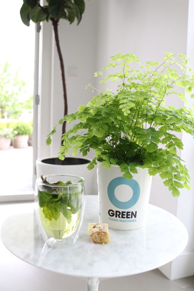 Floral decoration - Ogreen Clean Machines - RESCUED! FROM WASTE TO WONDERFUL