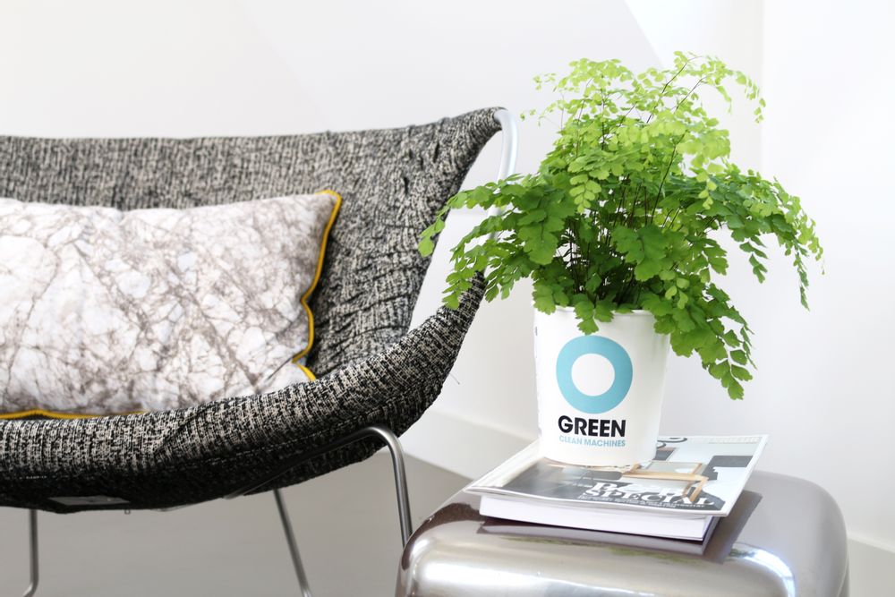 Floral decoration - Ogreen Clean Machines - RESCUED! FROM WASTE TO WONDERFUL