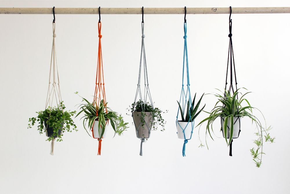 Floral decoration - Knotted interiors Plant Pot Hangers - ELEANOR BOLTON STUDIO