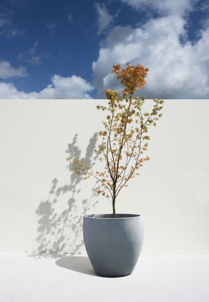 Pottery - Cosapots - THE POTS COMPANY