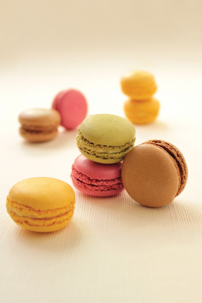 Molds - Macaron's range - DAUDIGNAC