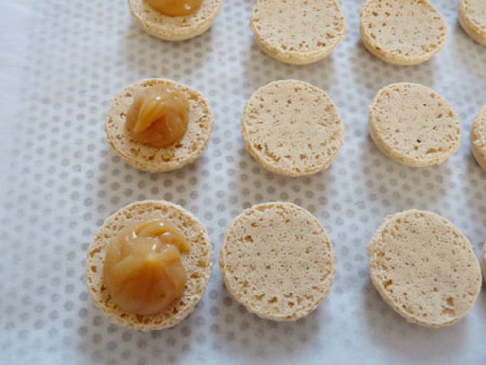 Molds - Macaron's range - DAUDIGNAC