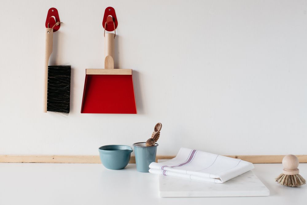 Brushes - Giftbox Hand Brush & Dustpan & 2 Wall hooks - ANDREE JARDIN