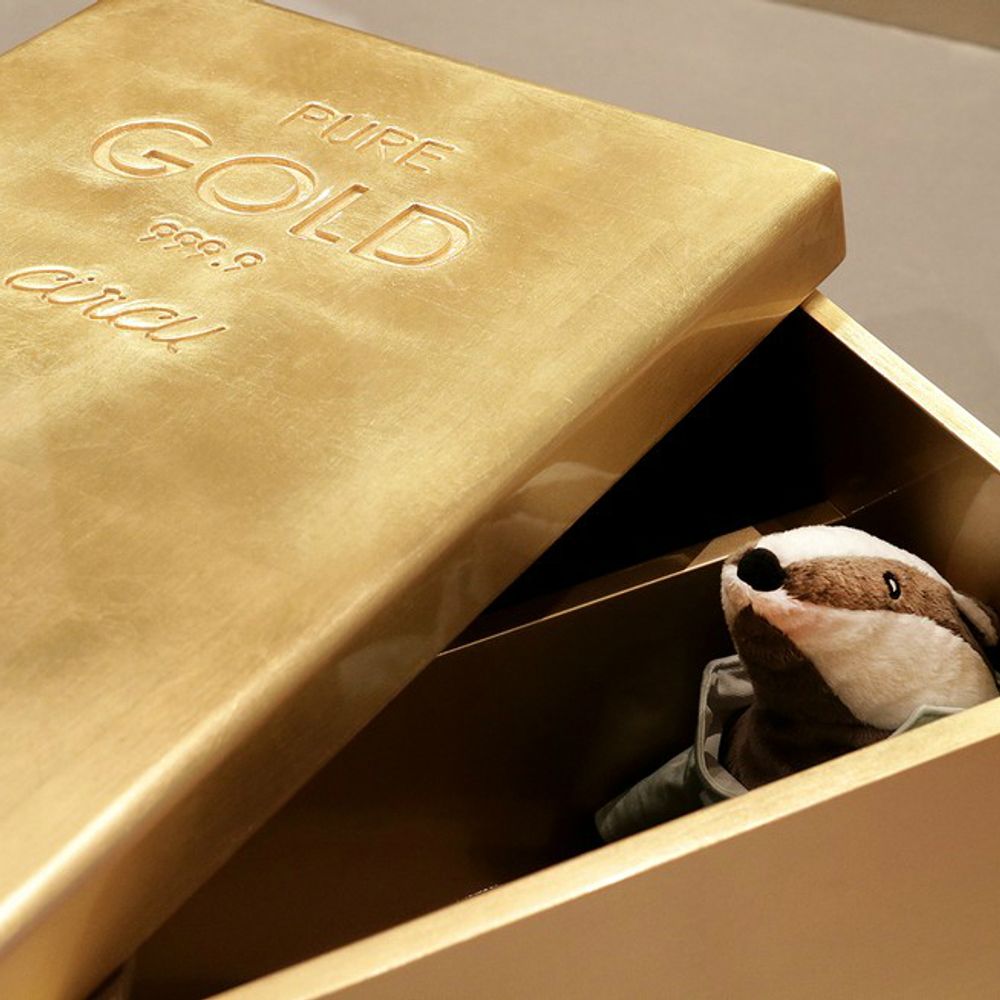 Boîtes de rangement - GOLD TOY BOX - CIRCU