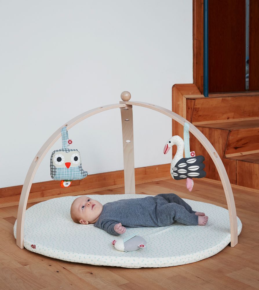 Accessoires pour puériculture - Arche d'éveil Baby Spider Franck & Fischer - FRANCK & FISCHER