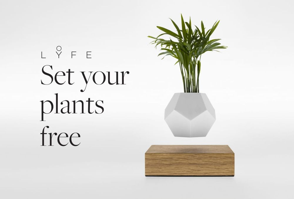 Design objects - LYFE Levitating Planter - FLYTE