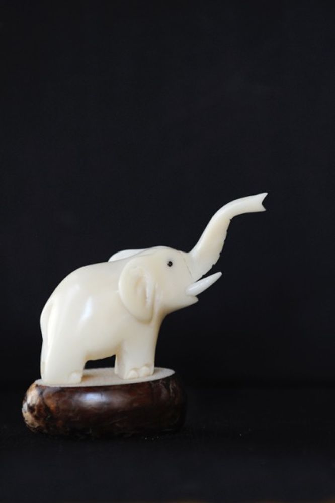 Objets personnalisables - Figurines en ivoire végétal - TAGUA AND CO