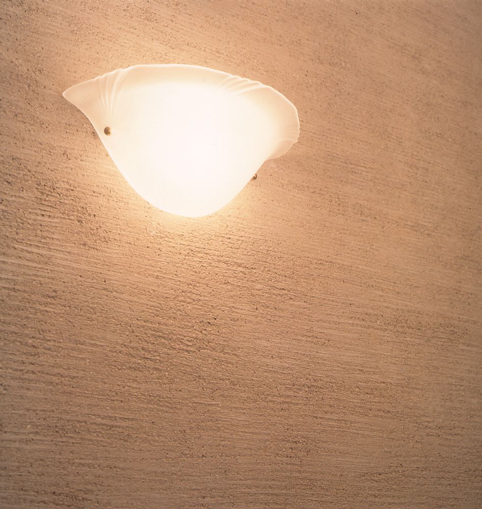 Enduits et stucs - Shikkui (Japanese Lime Plaster) - OSAKA DESIGN CENTER