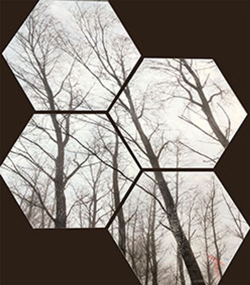 Frames - Viroc - THEPOLOART