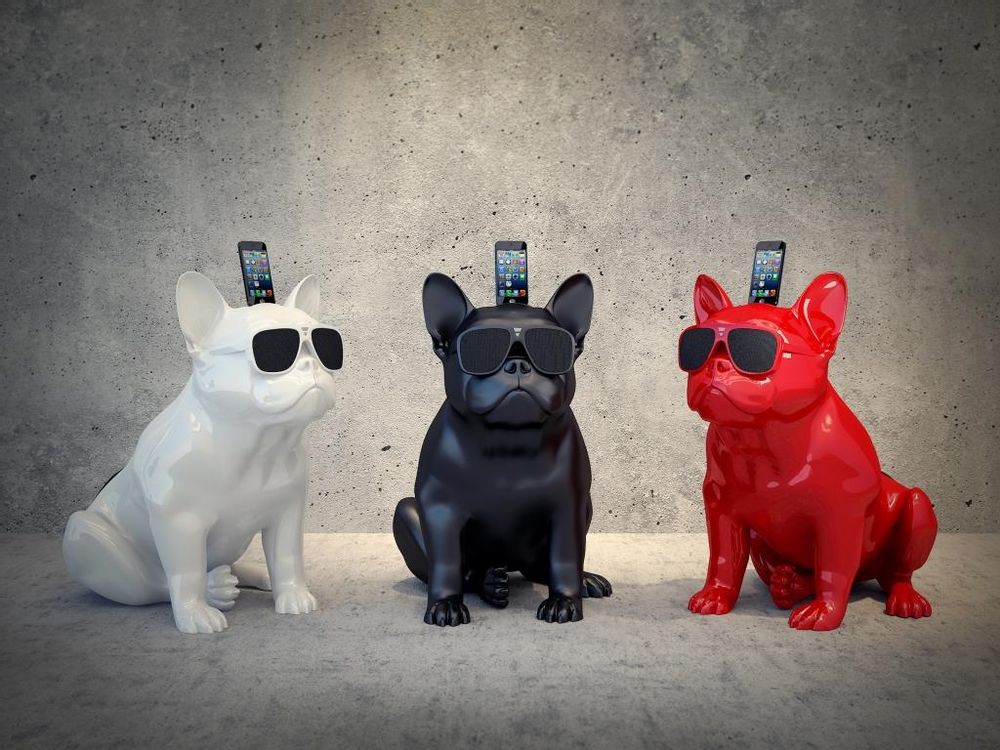 Enceintes et radios - AeroBull HD - LEA TRADE