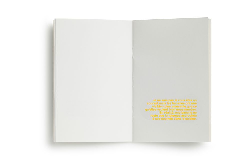 Papeterie - Livre à illustrer La vie secrete des bananes - SUPEREDITIONS