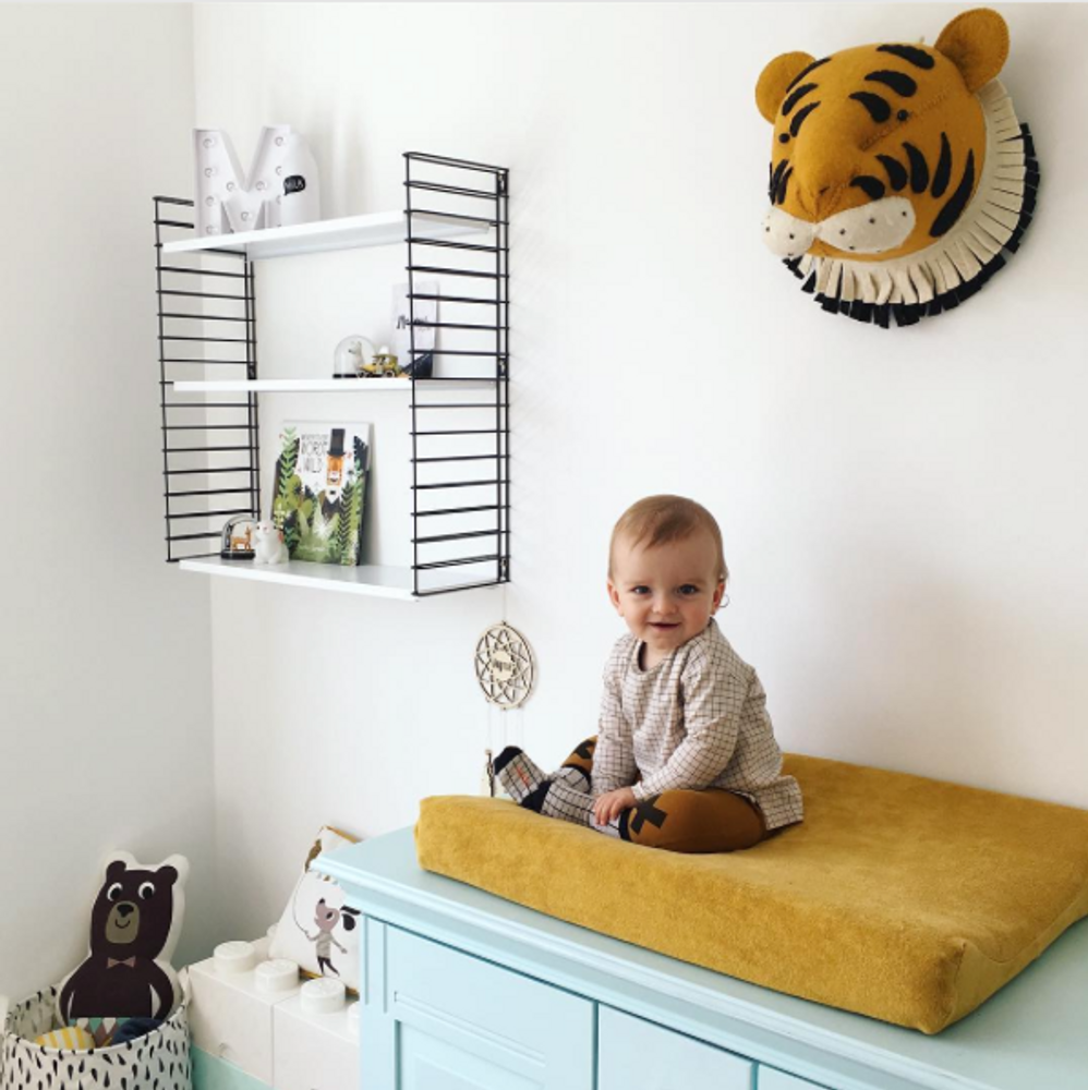 Other wall decoration - Fiona Walker England Animal Heads - S-C BRANDS