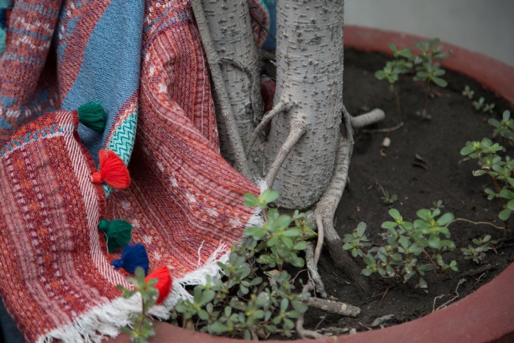 Plaids - Plaid - SHINGORA HOME