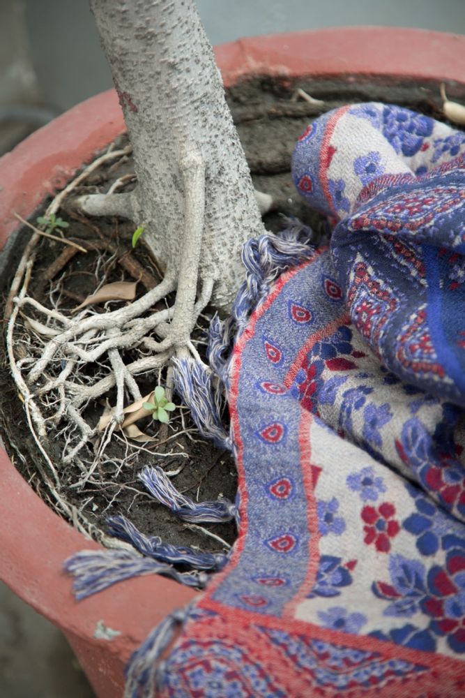 Plaids - Plaid - SHINGORA HOME