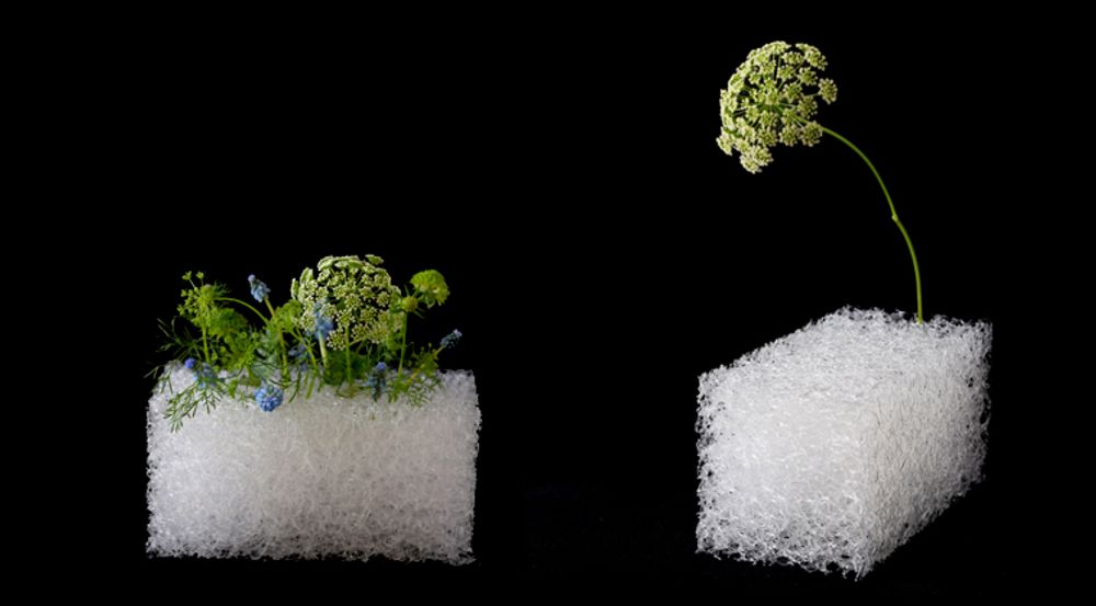 Décorations florales - Vase OASIS DE MIYAVIE - MAISON KOICHIRO KIMURA