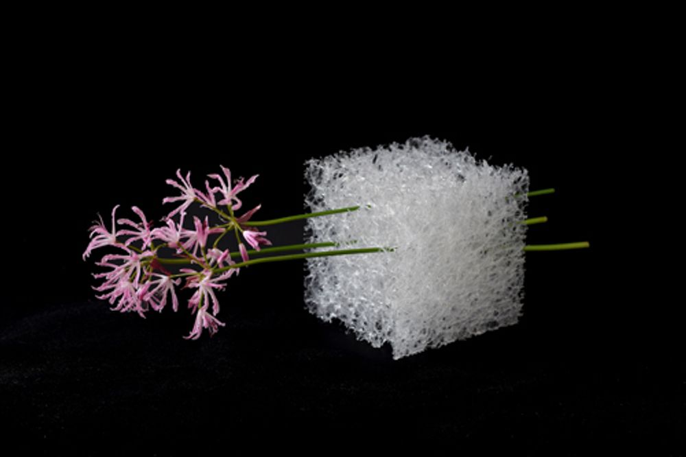 Décorations florales - Vase OASIS DE MIYAVIE - MAISON KOICHIRO KIMURA